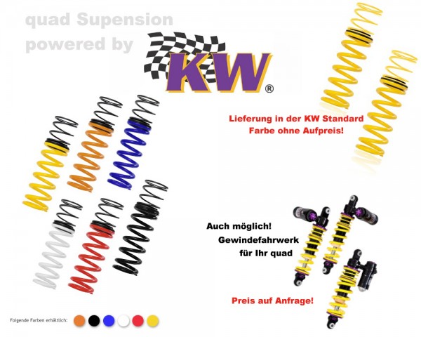 KW Suspension Tieferlegungsfedern gelb 25006103 Kymco KXR 250 ab Bj. 04